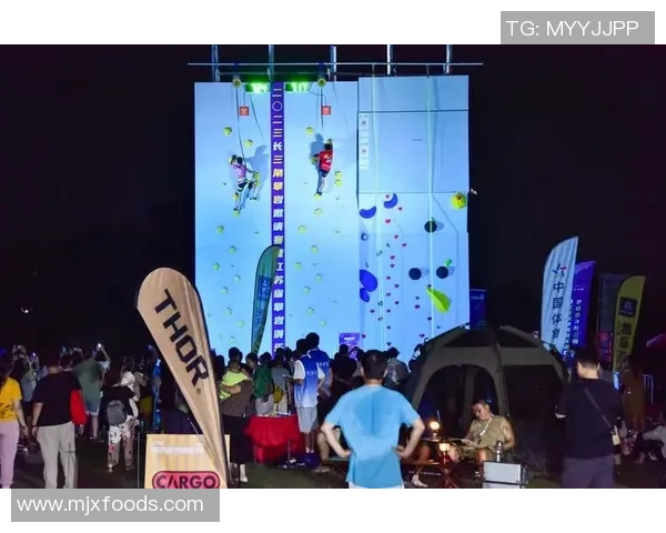 南京攀岩队的意识探讨与攀岩文化的融合与发展分析