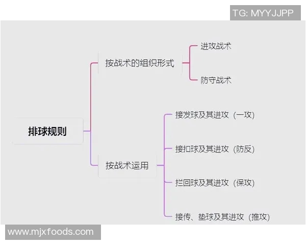 武汉排球队的战术解析与阵地战策略深度剖析