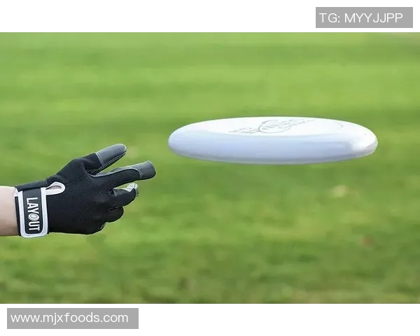 王强独家分享飞盘心得与技巧助你成为飞盘高手的必备指南