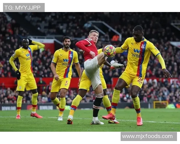 热议DOTA2WE战队的实力提升与战术革新之路探讨