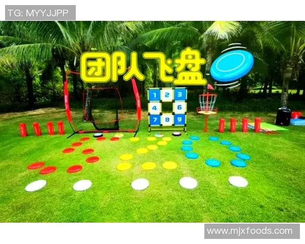 西安飞盘队与武汉飞盘队赛后分析灵活性表现及战术调整探讨