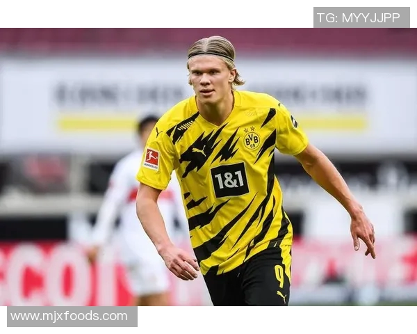 足球团队协作实力榜单权威发布揭示顶尖球队的默契与配合能力