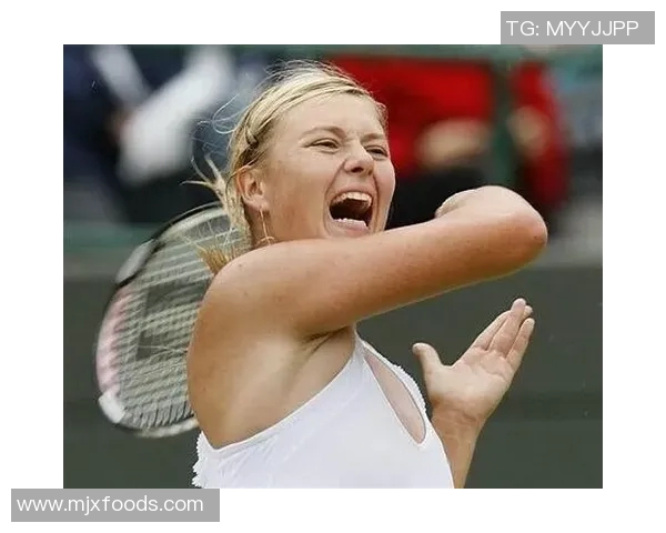 布林狮子迎战休斯顿城全力争胜展现球队实力与风采