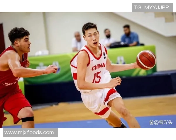 易建联的篮球传奇之路：从少年天才到国家队核心的奋斗历程与成就解析