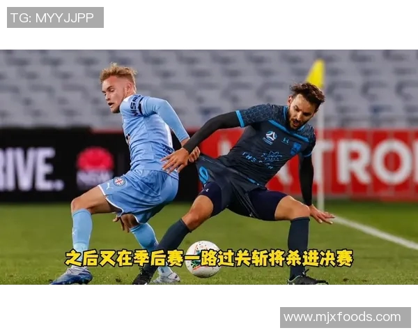 澳超精彩对决墨尔本迎战珀斯直播全程回顾与分析