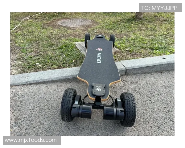 陈丽独家分享滑板技巧与心得体会助你轻松入门与提升滑板水平