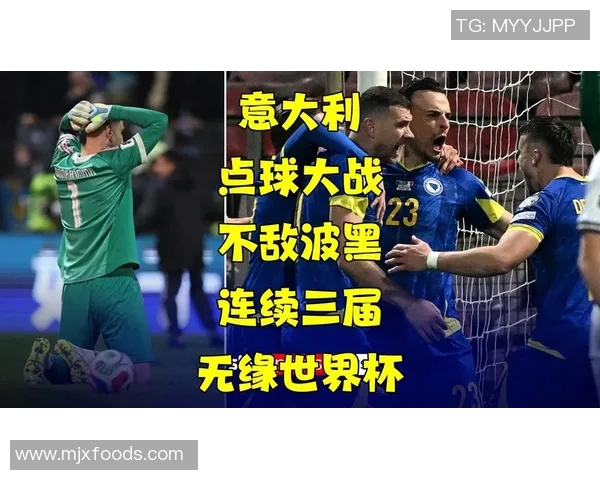意大利与波黑世界杯对决精彩回顾与赛后分析